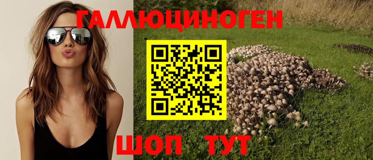Муравленко  Галлюциногенные грибы прущие грибы  Вход с VPN 
