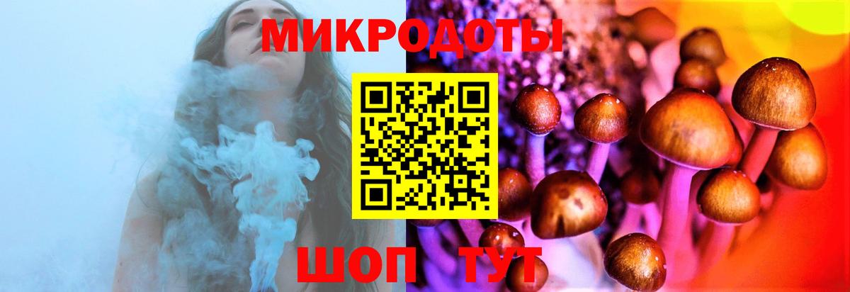 Псилоцибиновые грибы GOLDEN TEACHER Муравленко